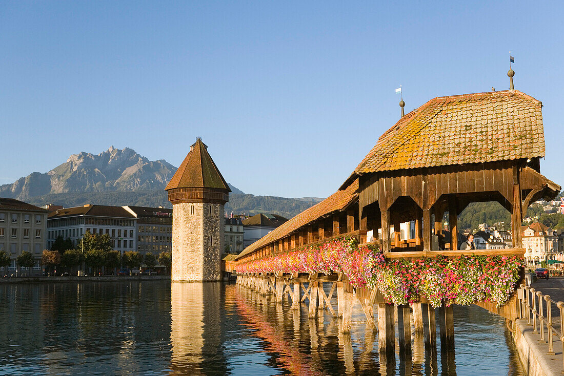 Reuss Fluss mit Kapellbrücke, die älteste, überdachte Holzbrücke Europas und Wasserturm, Luzern, Kanton Luzern, Schweiz