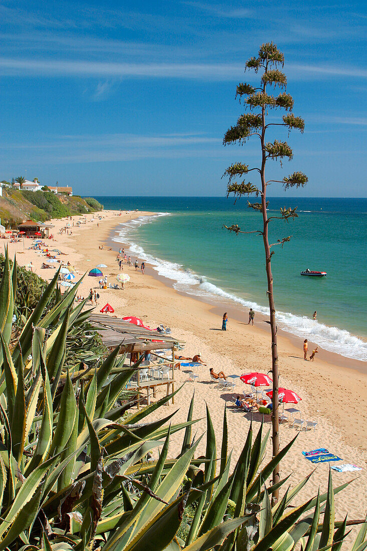 Costa de la Luz, Los Canos, Meca Strand, beach