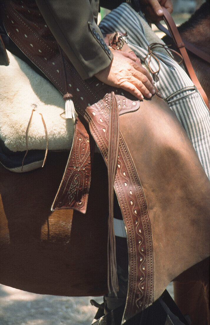 Reiter in Flamencokleidung am Whitsan Festival, El Rocio, Andalusien, Spanien