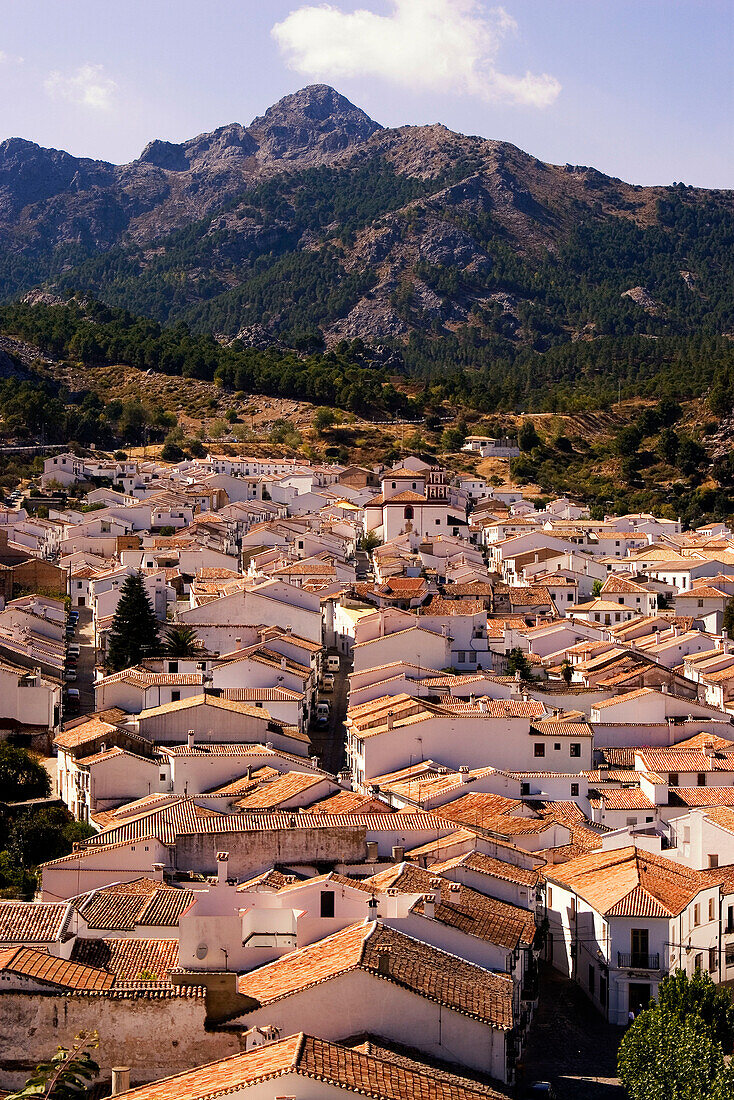 Spain Andalucia pueblo blanco Grazalema