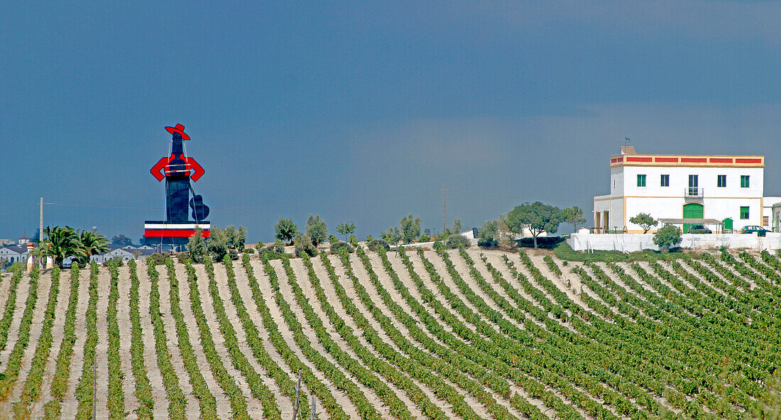 Finca, Tio Pepe, Jerez la Frontera, Andalusia, Spain