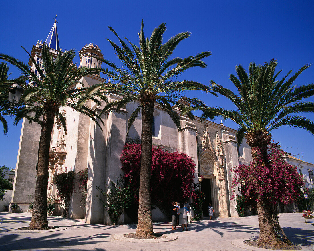 Palm trees and church, Chipione, Andalusia, Spain