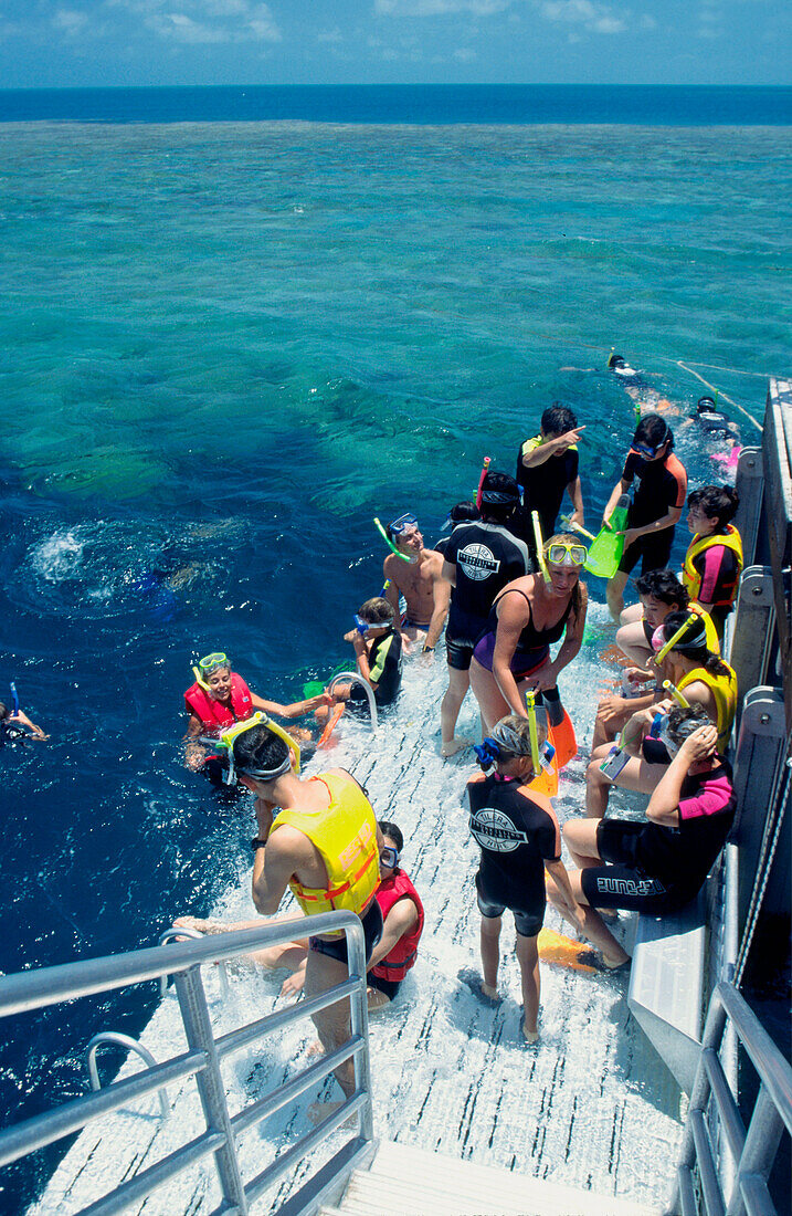 Snorkeling, Great Barrier Reef, Queensland, Australia