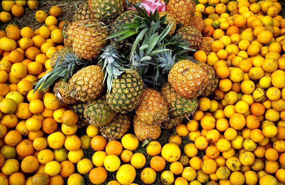 Troical fruit,pineapple,lemon
