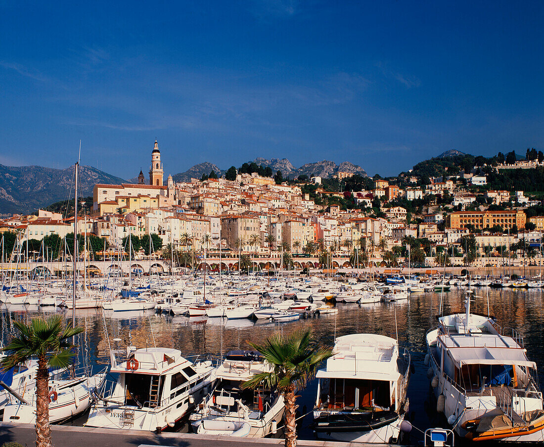 France, Alpes Maritime, Menton ,old town port ,  yachting harbour