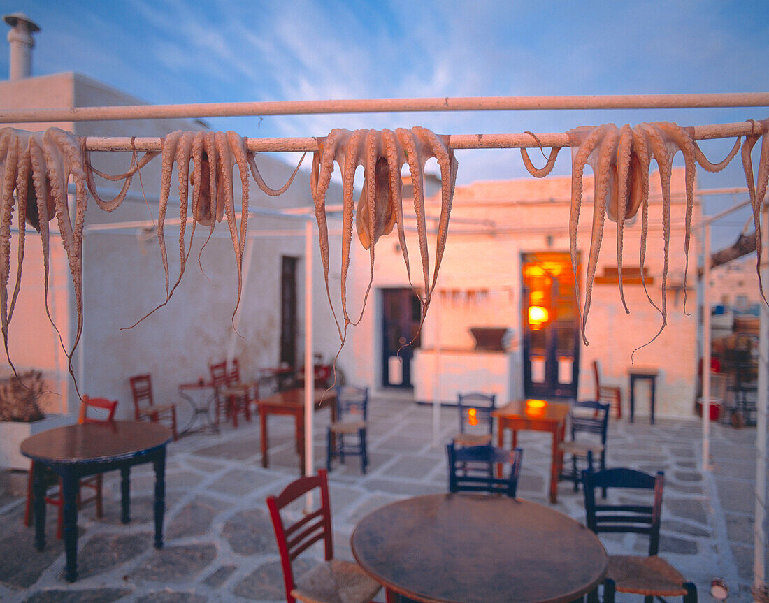 Greece,Paros,Octopus