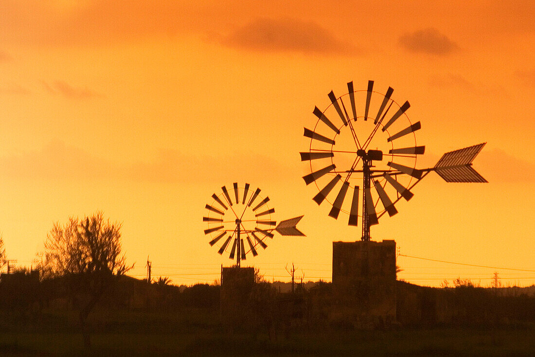 Mallorca wind mills at Sant Jordi valley