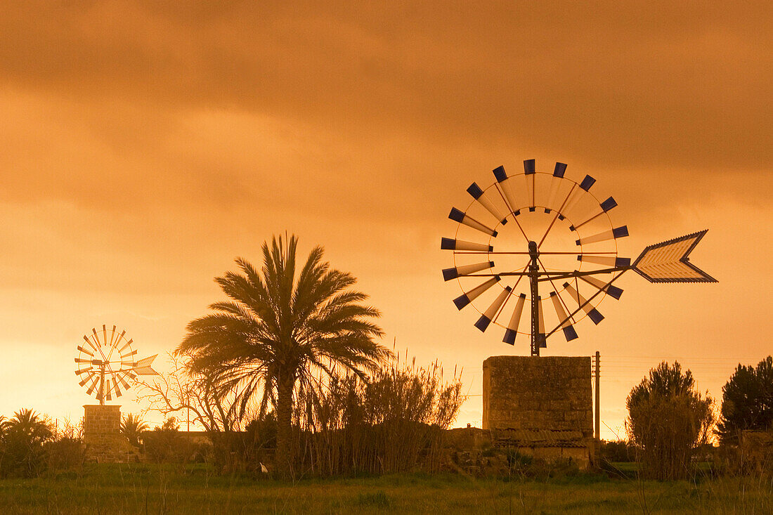 Mallorca, Windmühlen bei Sonnenuntergang in Sant Jordi