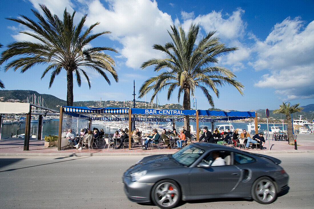 Mallorca, Poirt d Andratx, Cafe, palm trees