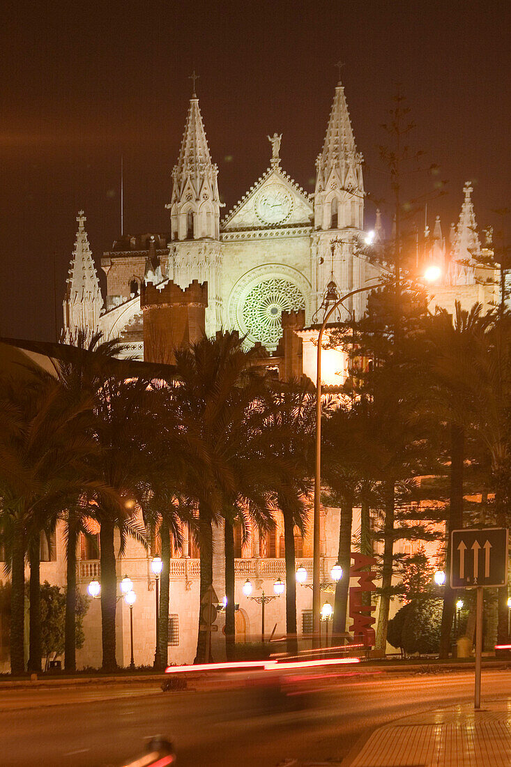 Spain, Mallorca ,kathedral,palm trees