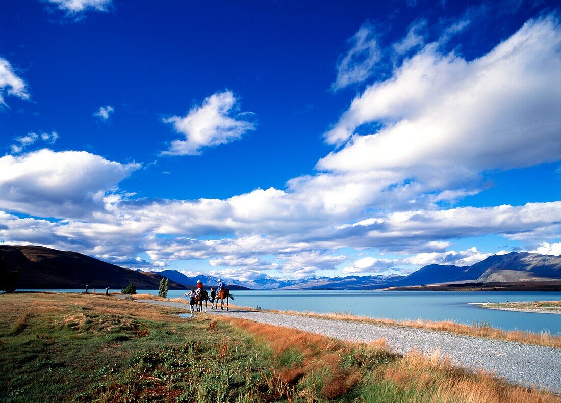 Neuseeland, Lake Tekapo