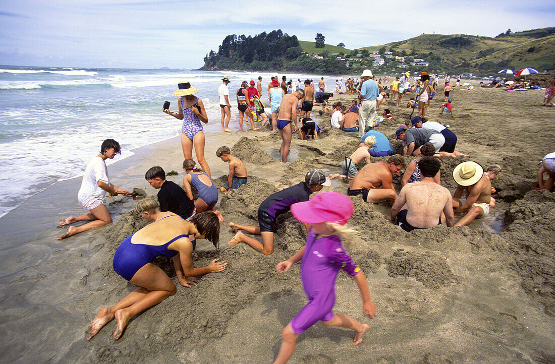 New Zealand, Coromandel, Hot water, beach, kids