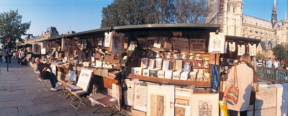 Flea market, Shore of Seine, Paris, France