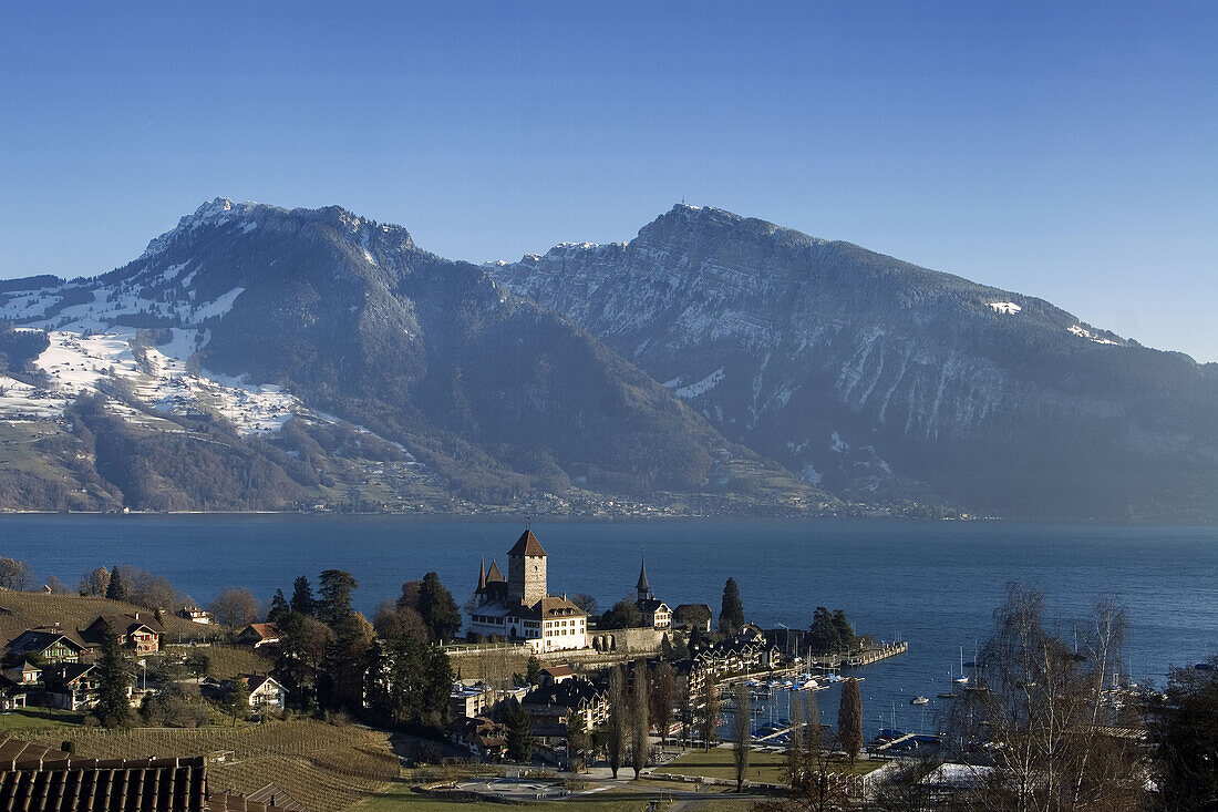 Switzerland bernese oberland Spiez castle lake Thun in winter