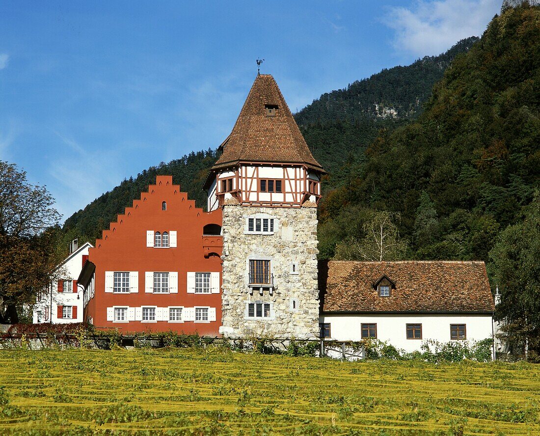 Europe, Liechtenstein, Vaduz, Red house ,vineyards