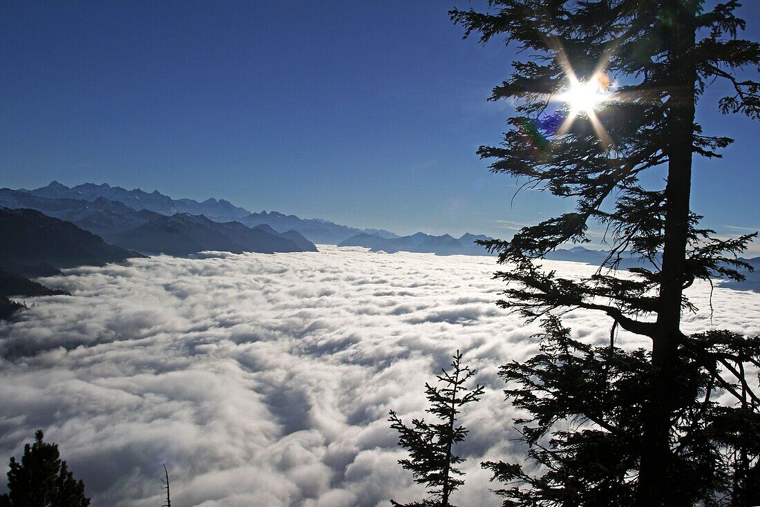 Schweiz, Stanserhorn, Nebel über dem Vierwaldstätter See, Alpen