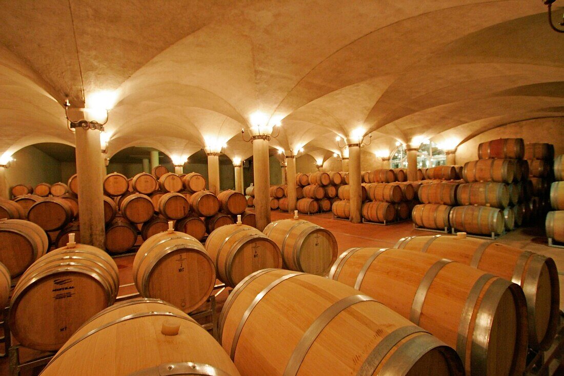 south africa wine region Suir Paarl Avondale wine cellar