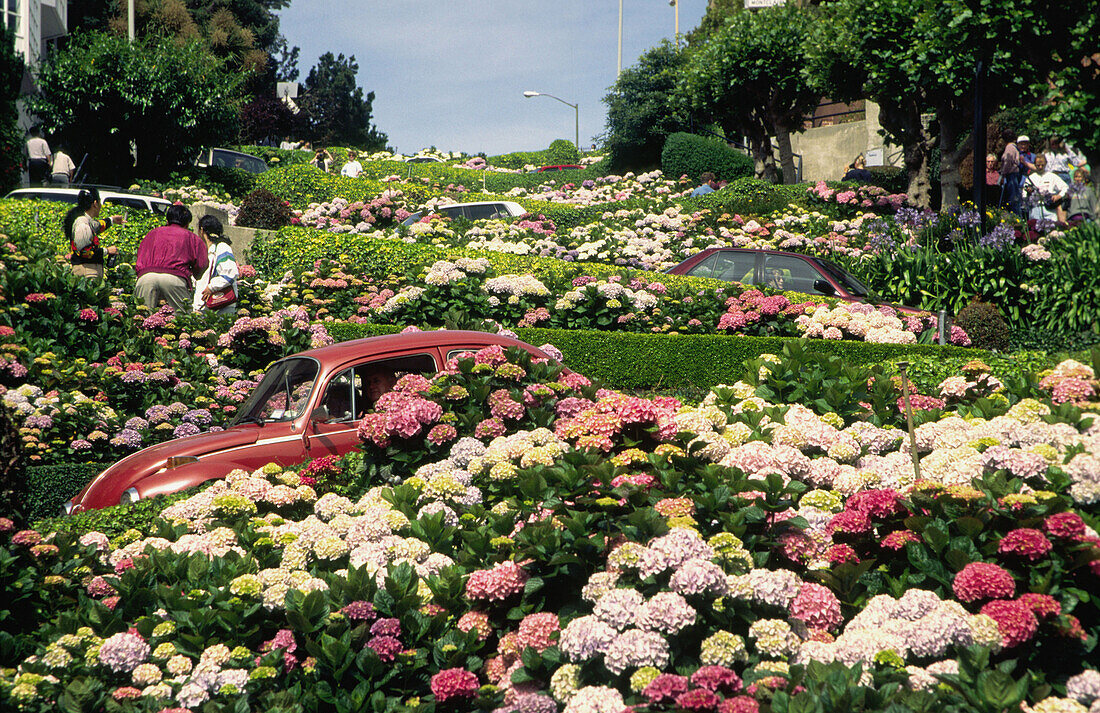 Lombard street, San Francisco, USA