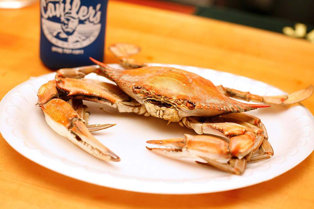 Cantler's Crabshack, Annapolis, Chesapeake Bay, Maryland, United States