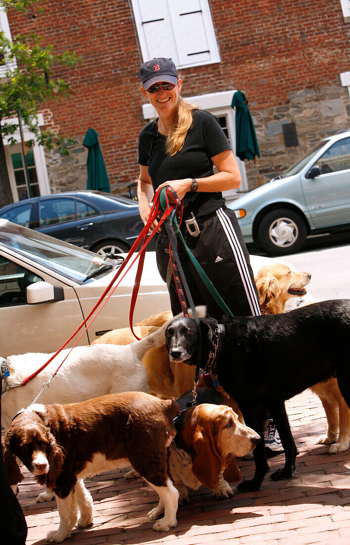 Dogwalker, Alexandria, Virginia, USA