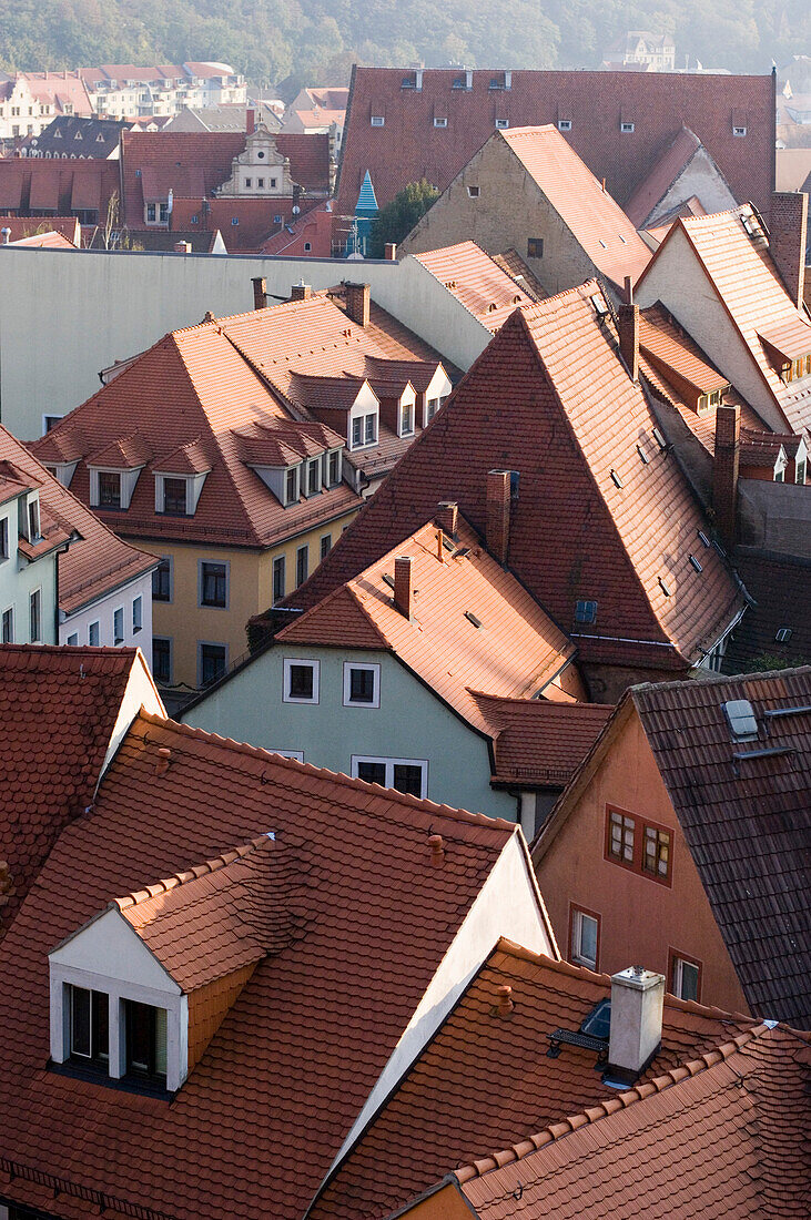 Blick über die Dächer von Meißen, Sachsen, Deutschland