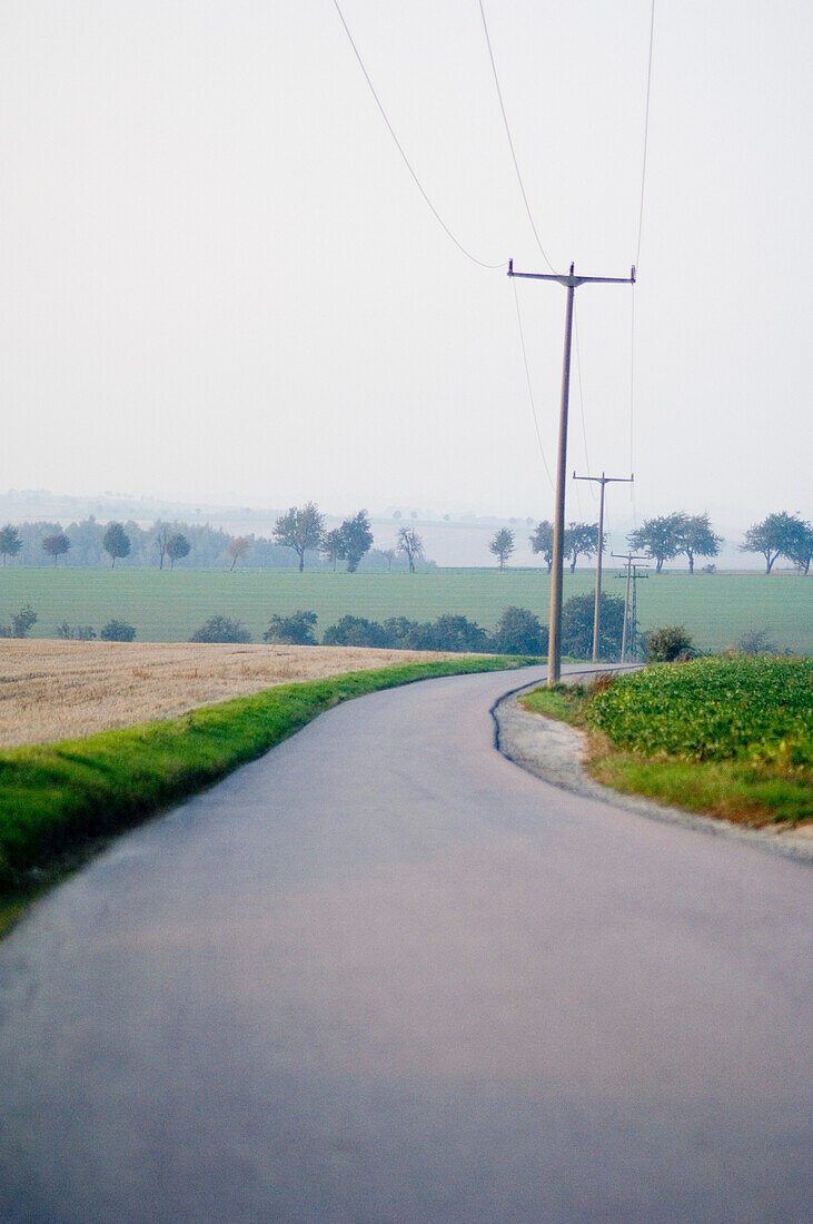 Stromleitungen entlang einer Landstraße bei Meissen, Sachsen, Deutschland