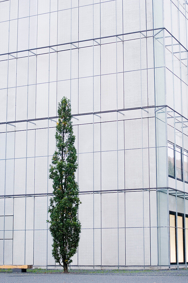 Tree in front of Museum of Visual arts, Leipzig, Saxony, Germany