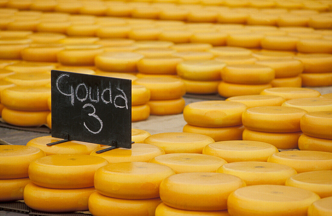 Alkmaar Käsemarkt, Holland, Europa