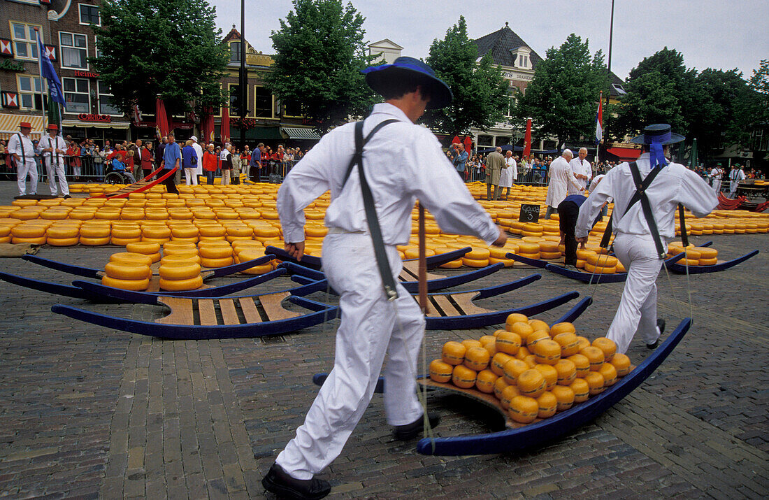 Alkmaar Käsemarkt, Holland, Europa