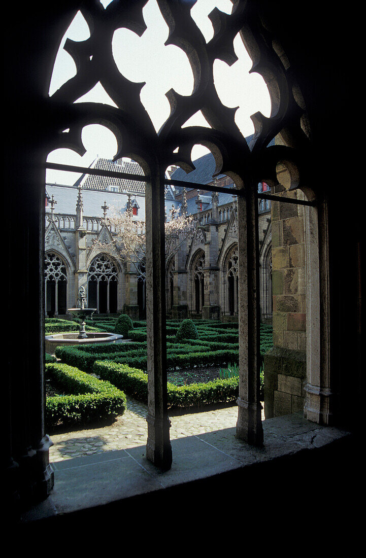 Window at cloister and view at monastery garden, Domkerk, Utrecht, Netherlands, Europe