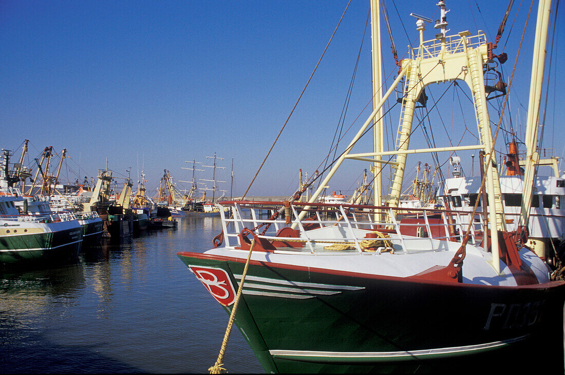 Harlingen, harbour, Netherlands, Europe