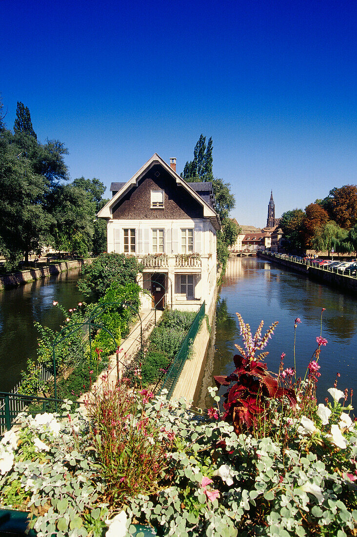House at anabranch of Ill river, La Petite France, Strasbourg, Alsace, France, Europe