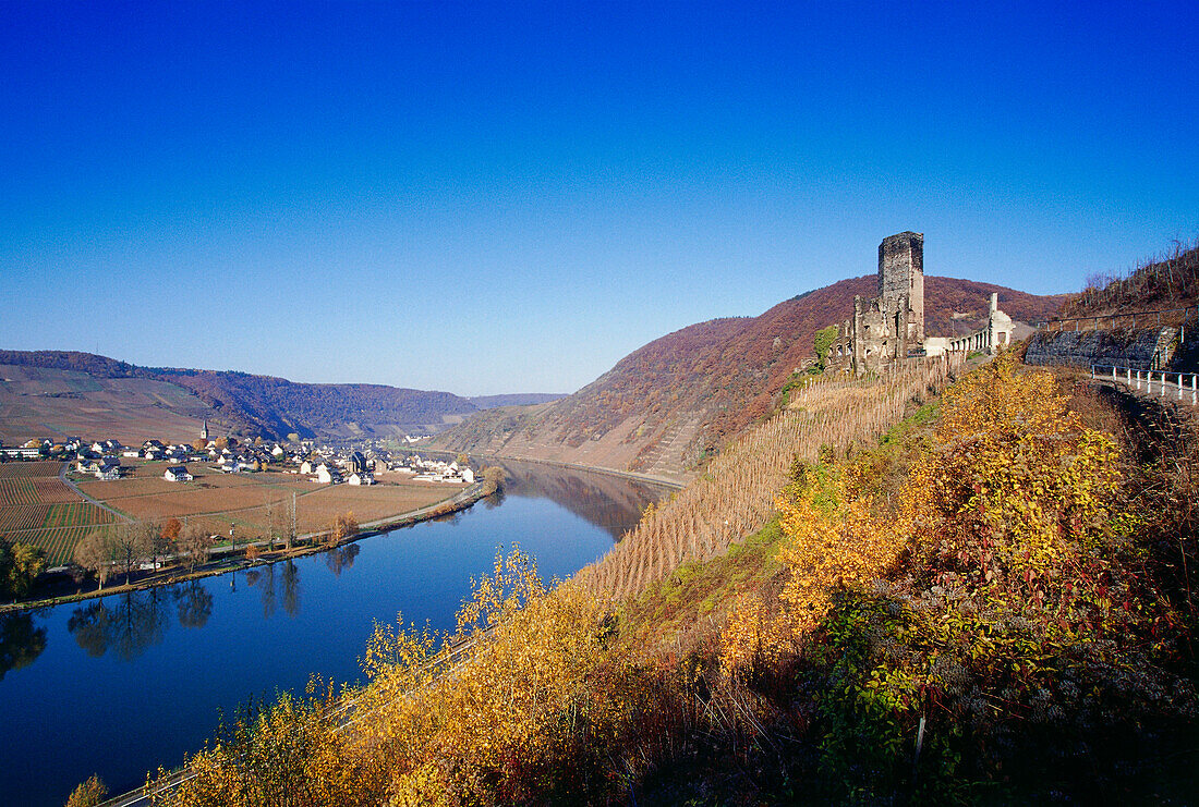 Castle ruin of Metternich at Moselle river, Rhineland-Palatinate, Germany, Europe