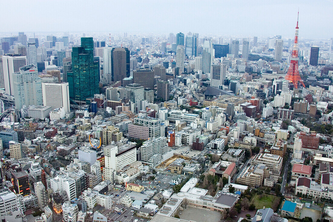 Stadtansicht vom Roppongi Hills Mori Tower, Roppongi Hills, Richtung Tokyo Tower, Tokyo, Japan, Asien