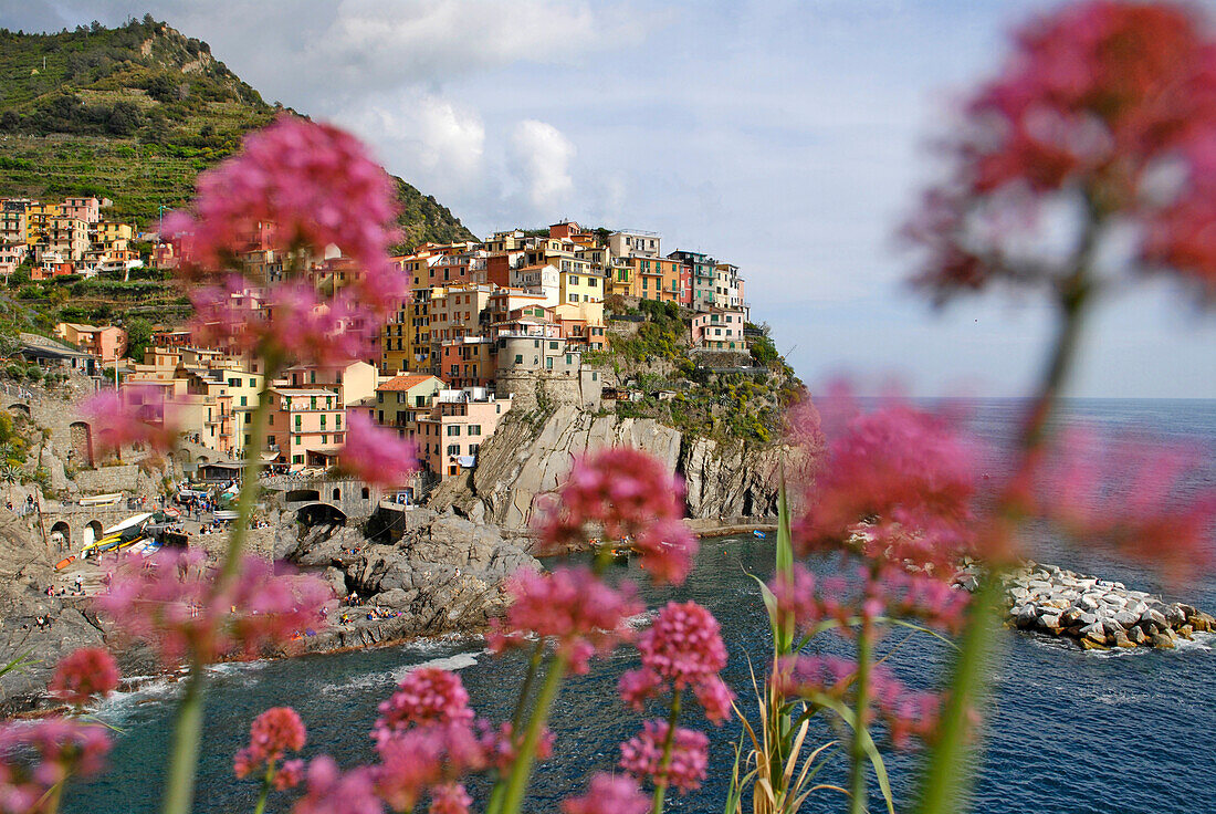 Manarola, Cinque Terre, Ligurien, Italien