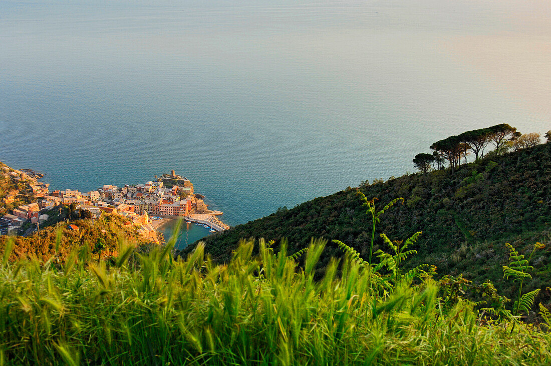 Vernazza, Cinque Terre, Liguria, Italy