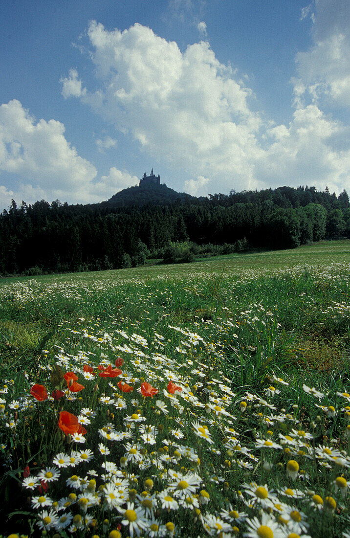 Hohenzollern castle, Swabian Alb, Baden-Wuerttemberg, Germany, Europe