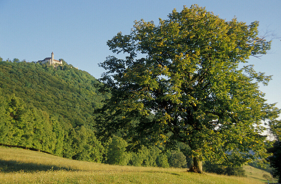 Burg Teck, Schwaebische Alb, Baden-Württemberg, Deutschland, Europe