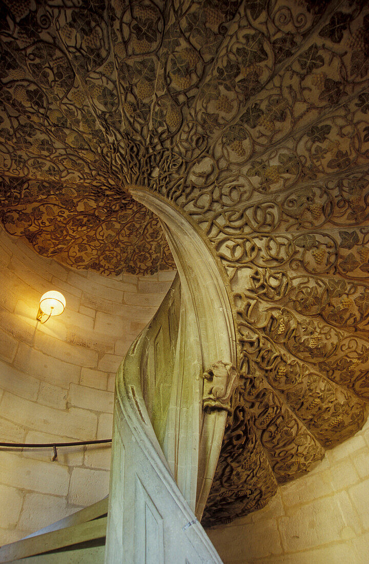 Rebenstiege im Renaissanceschloss, Göppingen, Baden-Württemberg, Deutschland