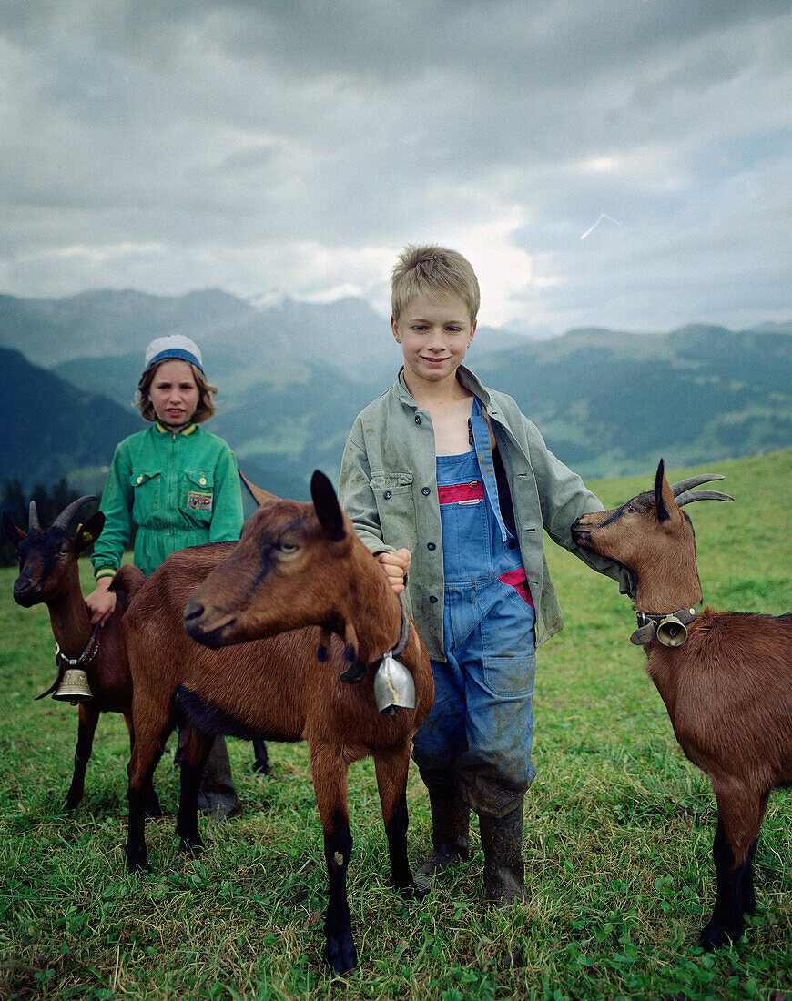 Children guarding goats, over Simmenvallley, near Lenk, Berner  Alpen, Kanton Bern, Switzerland Alpen, Kanton Bern, Switzerland
