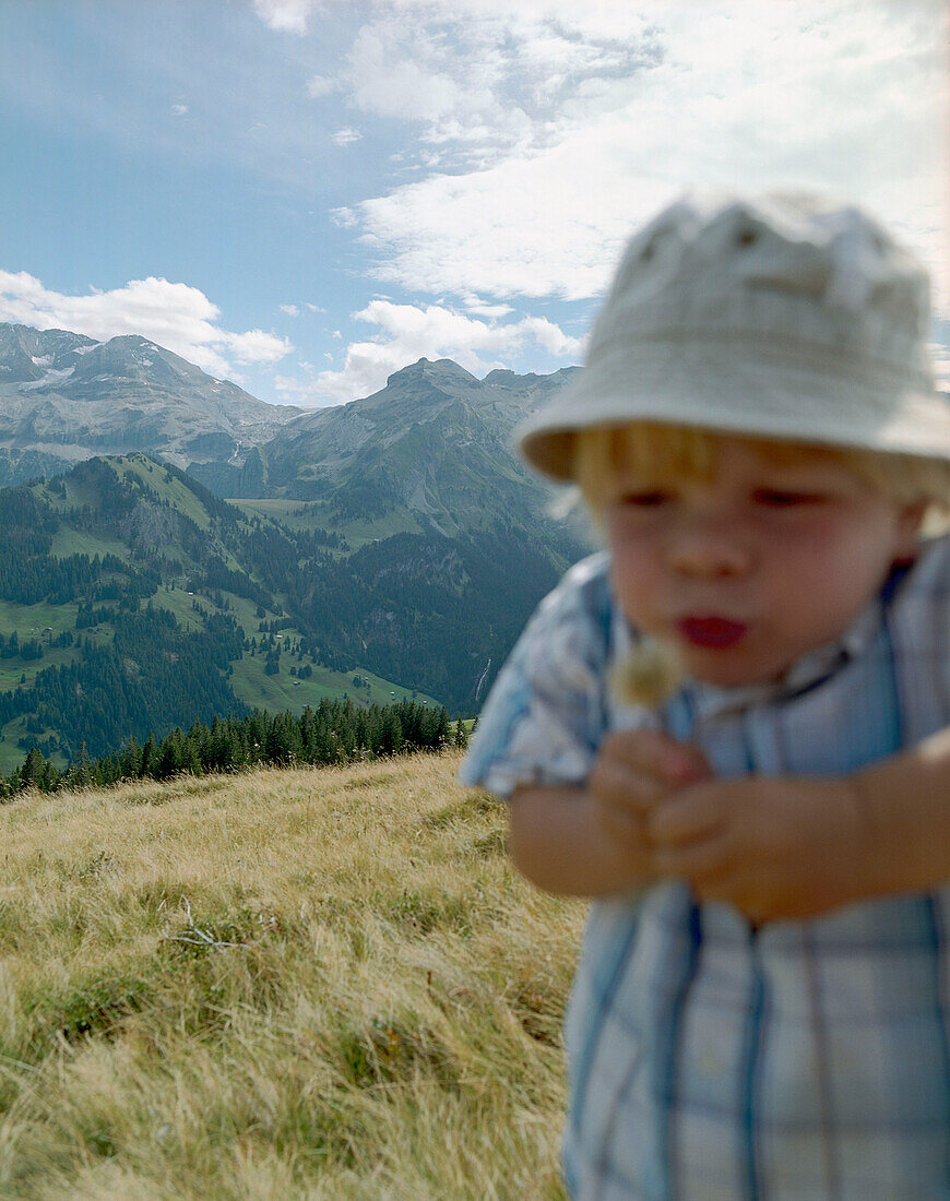 Junge mit einer Pusteblume, Simmental, Berner Alpen, Kanton Bern, Schweiz