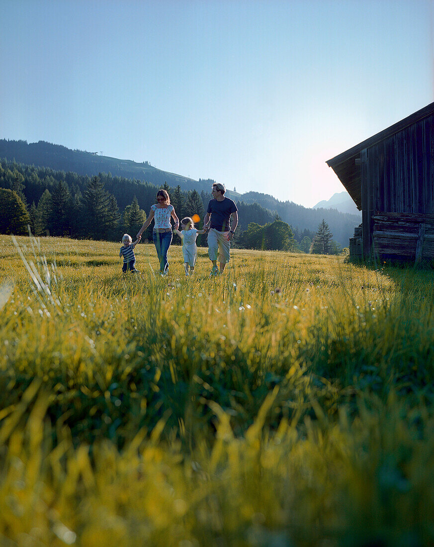 Family with two children running over mountain pasture, Leogang, Salzburg (state), Austria