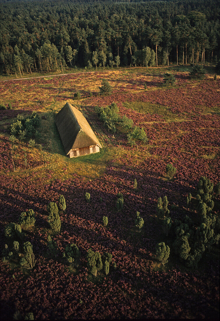 Haus in der Lüneburger Heide, Niedersachsen, Deutschland