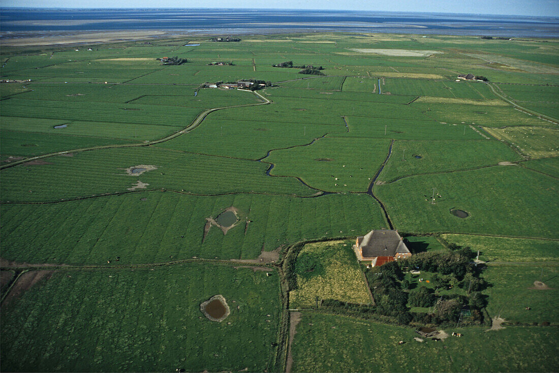 aerial photo of Haubarg farmhouse on marshland, Nordfriesland, North Frisia, Schleswig Holstein, North Sea, northern Germany