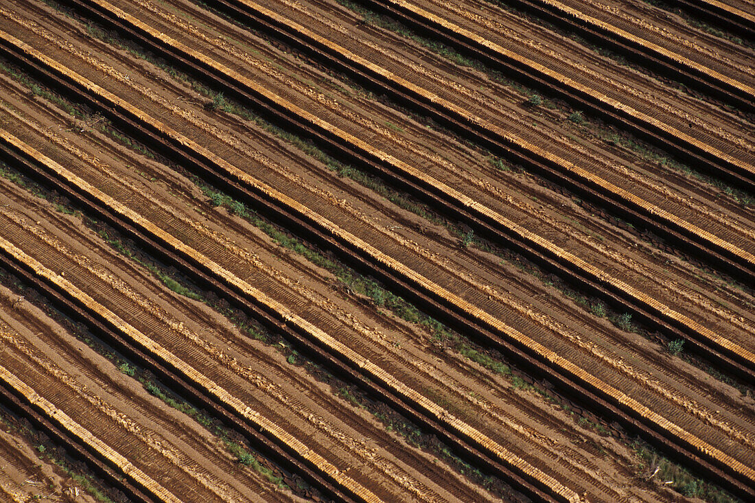 Großes Moor, Torfabbaugebiet, Uchte, Niedersachsen, Deutschland