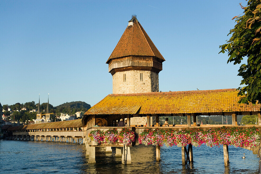 Reuss Fluss mit Kapellbrücke, die älteste, überdachte Holzbrücke Europas und Wasserturm, Luzern, Kanton Luzern, Schweiz