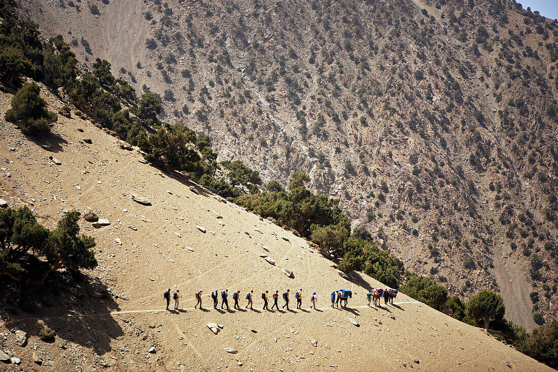 Trekkinggruppe und Maultiere , Hoher Atlas, Toubkal Region, Marokko, Nordafrika