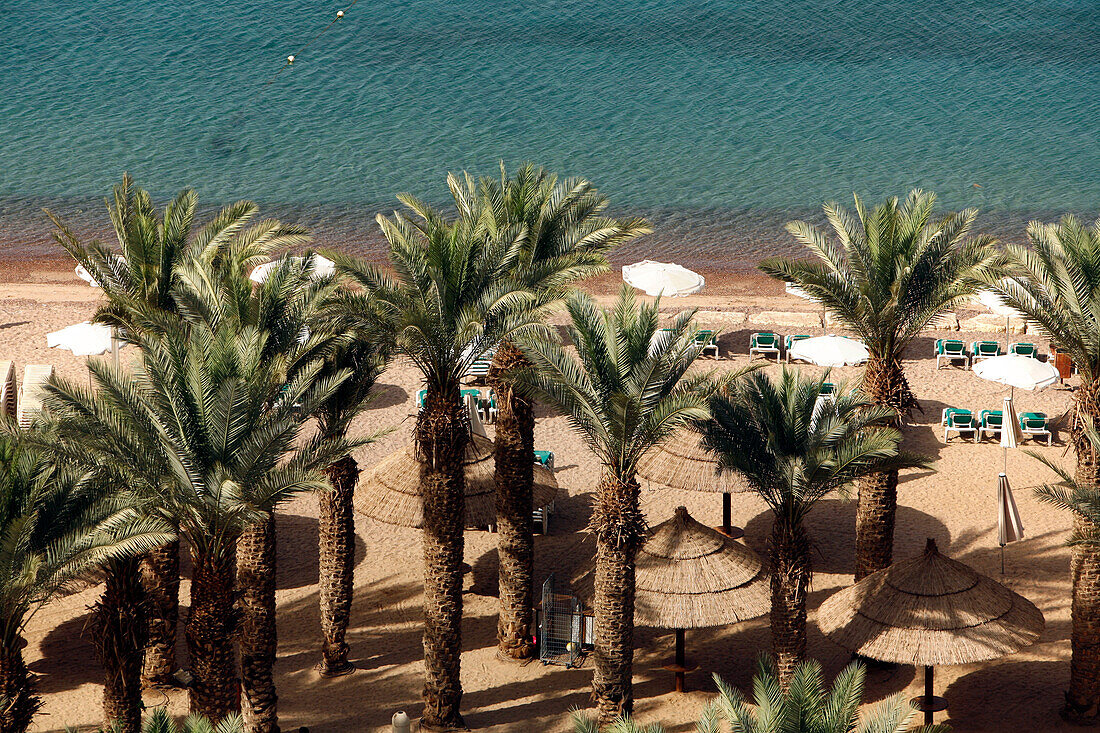 A palm beach at the Red Sea, Eilat, Israel