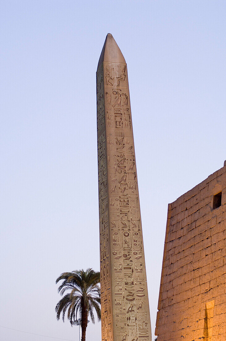 Obelisk at Luxor Temple in the eveining light, Luxor, Egypt
