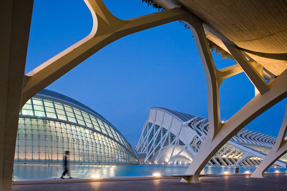 City of Arts and Sciences, Science Museum, Ciudad de las Artes y las Ciencias, Museo de las Ciencias Principe Felipe, like a skeleton of a giant whale, architect Calatrava, Valencia, Spain